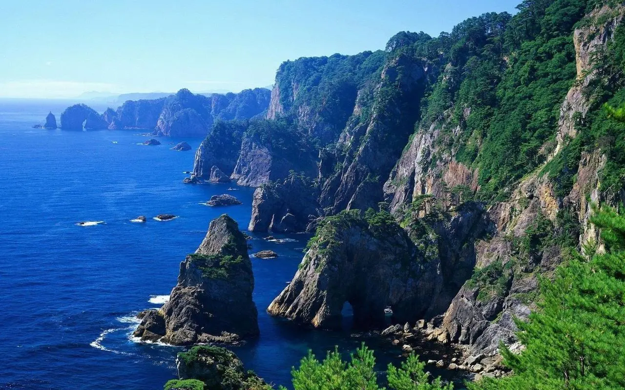 高端全自动科技